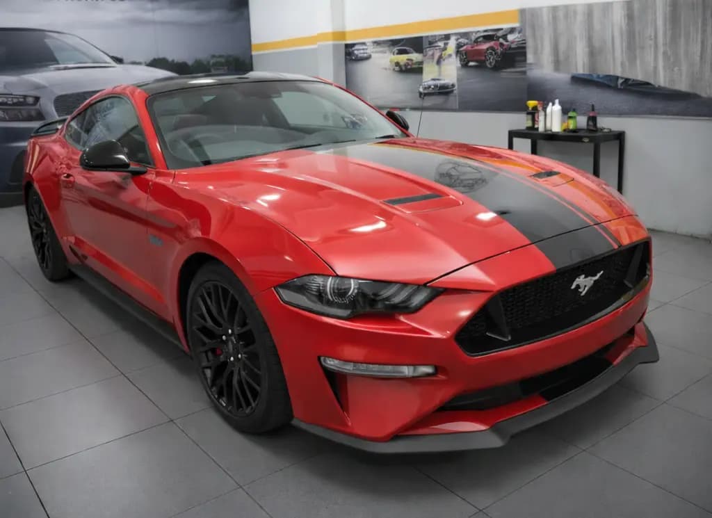 Pet Hair Removal - after service