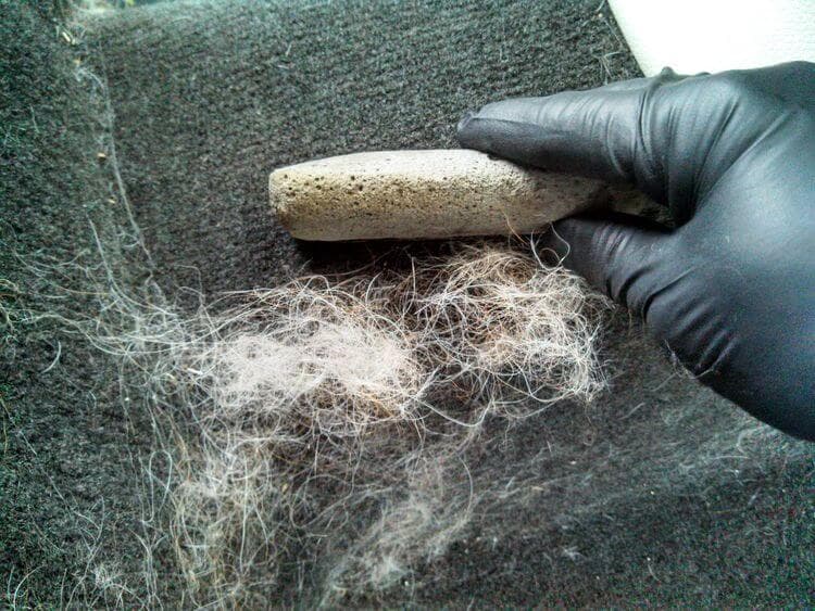 clean dog and pet hair off my car seats in chicago