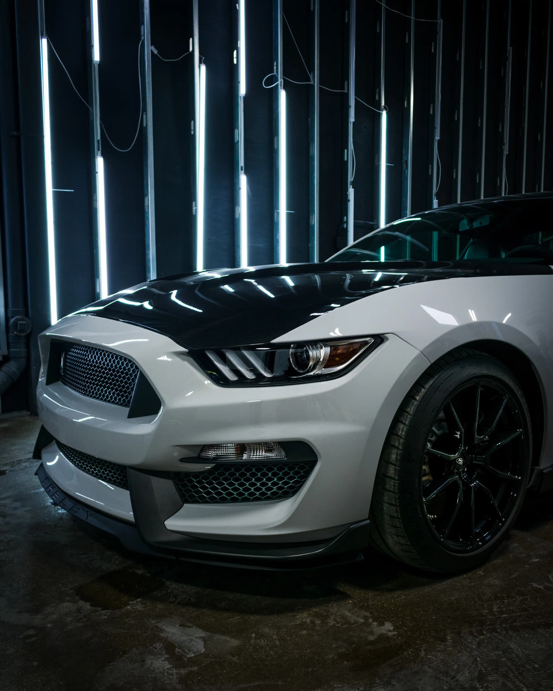 Paint Protection Maintenance Tips for Chicago Drivers image